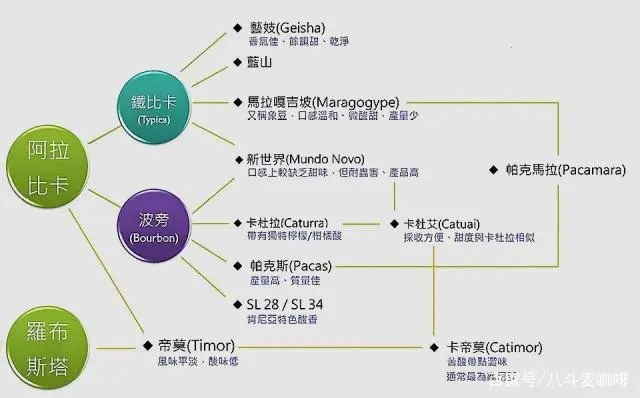 2020年咖啡豆产量_咖啡豆产量_咖啡豆的产量